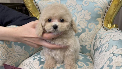 お問合せネーム・622ちゃんの写真 2