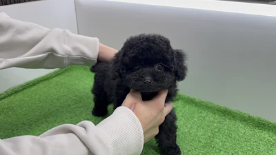 お問合せネーム・134ちゃんの写真 6