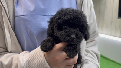 お問合せネーム・134ちゃんの写真 3