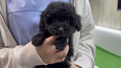 お問合せネーム・134ちゃんの写真 2