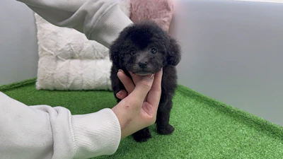 お問合せネーム・179ちゃんの写真 6