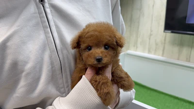 お問合せネーム・484ちゃんの写真 2