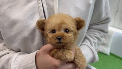 お問合せネーム・338くんの写真 3