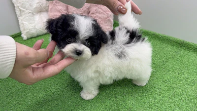 お問合せネーム・119ちゃんの写真 5