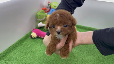 お問合せネーム・059くんの写真 5