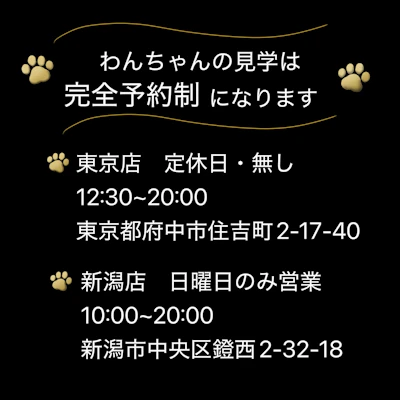 KING犬舎