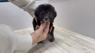 お問合せネーム・602ちゃんの写真 7