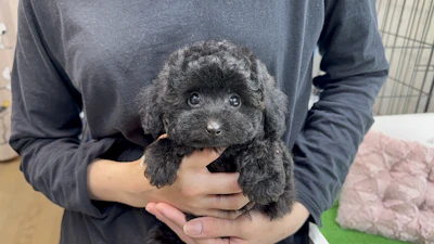 お問合せネーム・582ちゃん