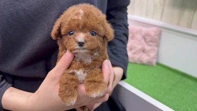 お問合せネーム・059くんの写真 7