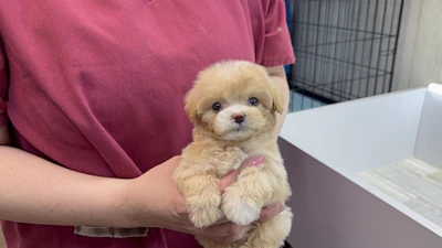 お問合せネーム・352ちゃんの写真 2