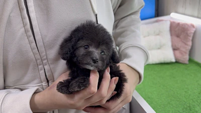 お問合せネーム・699ちゃんの写真 4