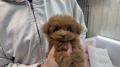 お問合せネーム・888ちゃんの写真 4