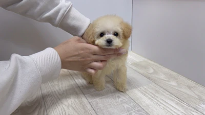 お問合せネーム・690ちゃんの写真 8