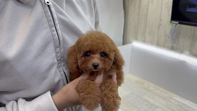お問合せネーム・538ちゃんの写真 4