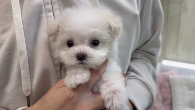 お問合せネーム・237ちゃんの写真 5