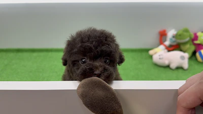 お問合せネーム・869ちゃんの写真 5