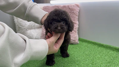 お問合せネーム・660ちゃんの写真 8