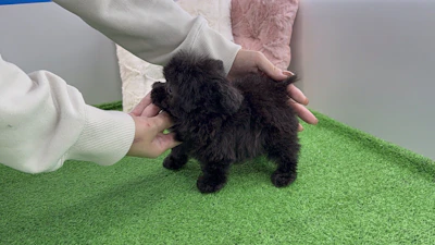 お問合せネーム・762くんの写真 6