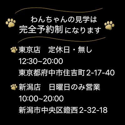 KING犬舎