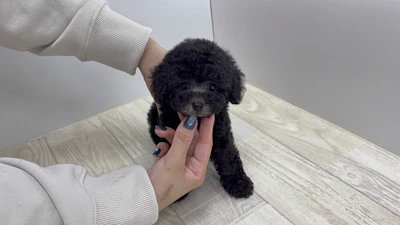 お問合せネーム・925ちゃんの写真 3