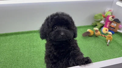 お問合せネーム・582ちゃんの写真 3