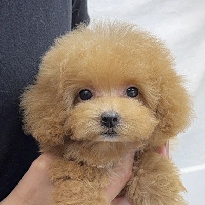 お問合せネーム・142ちゃんの写真 1