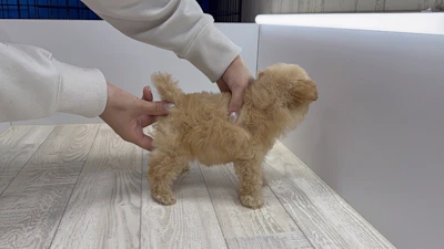 お問合せネーム・261ちゃんの写真 8