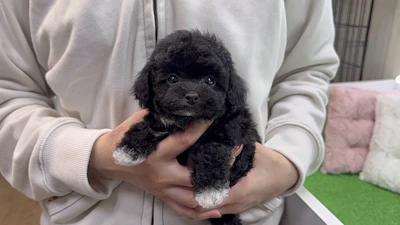 お問合せネーム・313ちゃんの写真 4