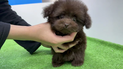 お問合せ・697ちゃん