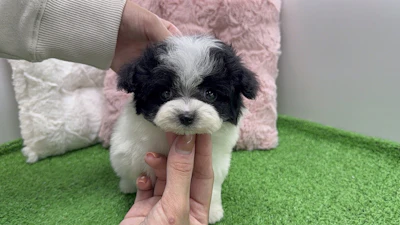 お問合せネーム・119ちゃんの写真 3