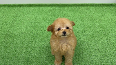 お問合わせネーム・484ちゃんの写真 2