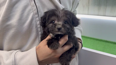 お問合せネーム・800ちゃんの写真 2