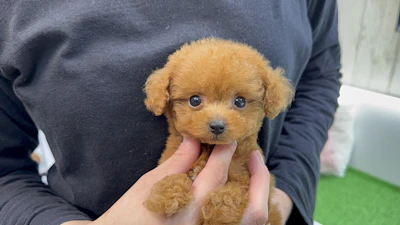 お問合せネーム・724くんの写真 2