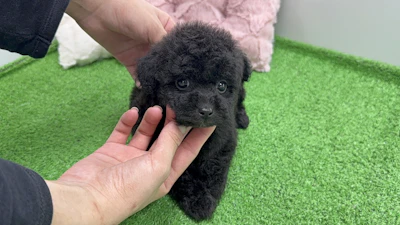 お問合せネーム・432くんの写真 3