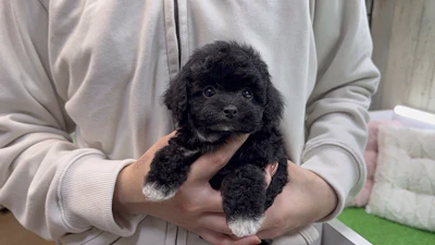 お問合せネーム・313ちゃんの写真 3