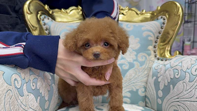 お問合せネーム・777ちゃんの写真 3