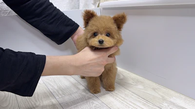お問合せネーム・005ちゃんの写真 2
