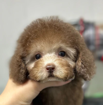 お問合せネーム・566ちゃんの写真 6