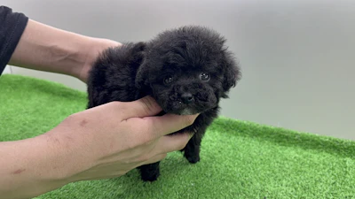 お問合せネーム・207くんの写真 2