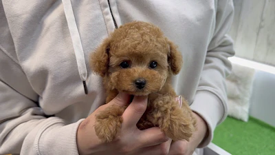 お問合せネーム・532くんの写真 2