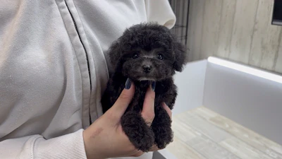 お問合せネーム・037ちゃんの写真 7
