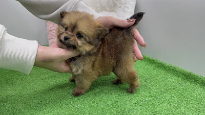 お問合せネーム・123ちゃんの写真 7