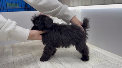お問合せネーム・048ちゃんの写真 8