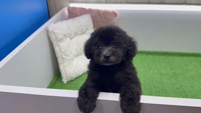 お問合せネーム・179ちゃんの写真 7