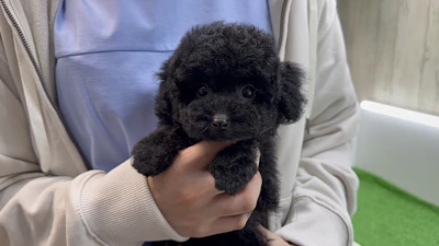 お問合せネーム・134ちゃん