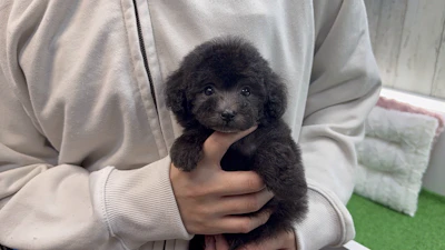 お問合せネーム・179ちゃんの写真 3