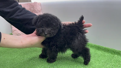 お問合せネーム・539くんの写真 5