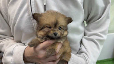 お問合せネーム・123ちゃんの写真 6