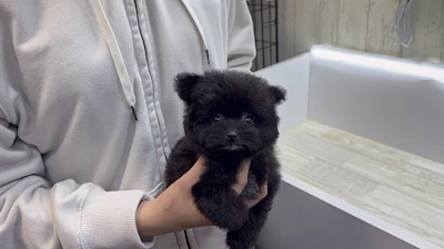 お問合せネーム・992ちゃんの写真 3