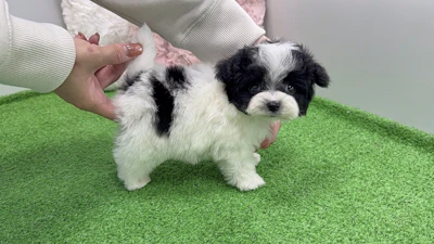 お問合せネーム・119ちゃんの写真 6